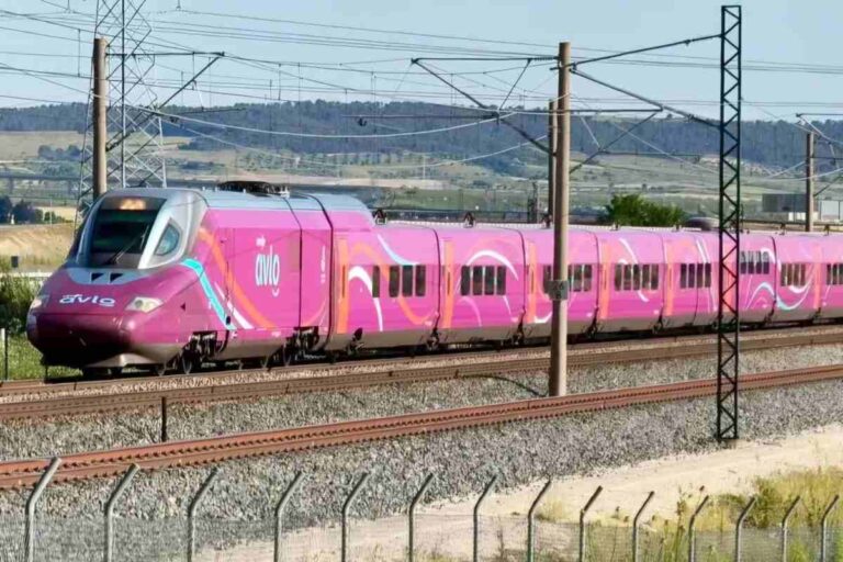 Puoi goderti questo viaggio in treno