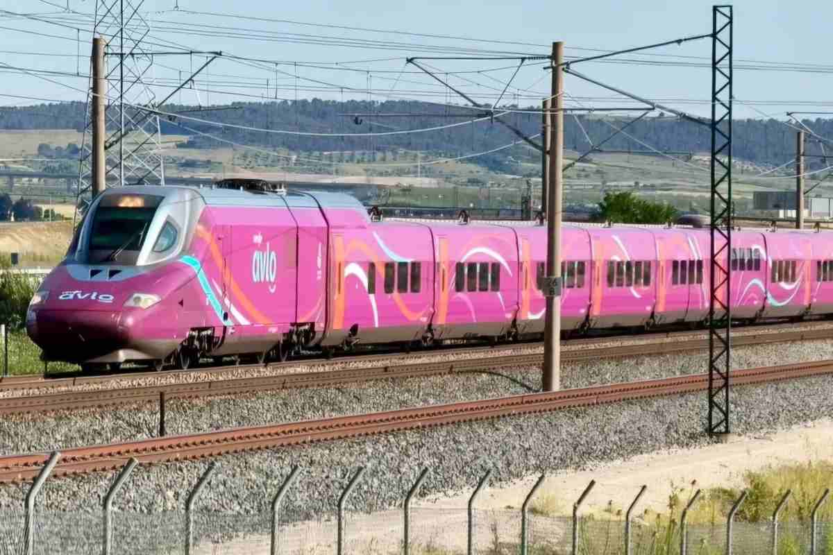 Puoi goderti questo viaggio in treno