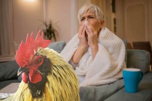 Influenza aviaria in Europa: primo caso umano in Lombardia, cosa sappiamo davvero